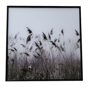 (C) Black/White Crystal Glass Wall Decor